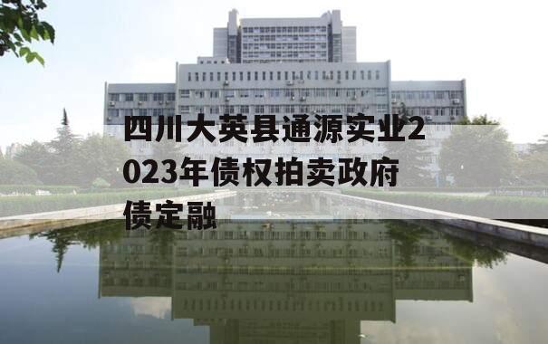 四川大英县通源实业2023年债权拍卖政府债定融