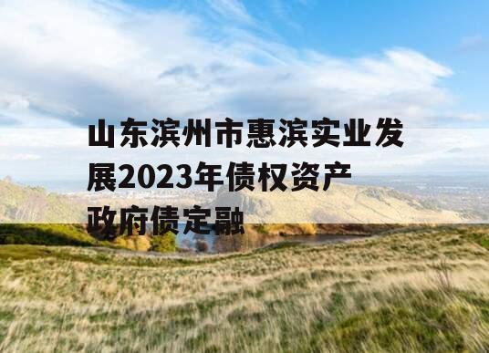 山东滨州市惠滨实业发展2023年债权资产政府债定融