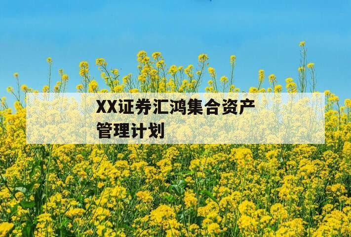 XX证券汇鸿集合资产管理计划