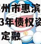 山东滨州市惠滨实业发展2023年债权资产政府债定融