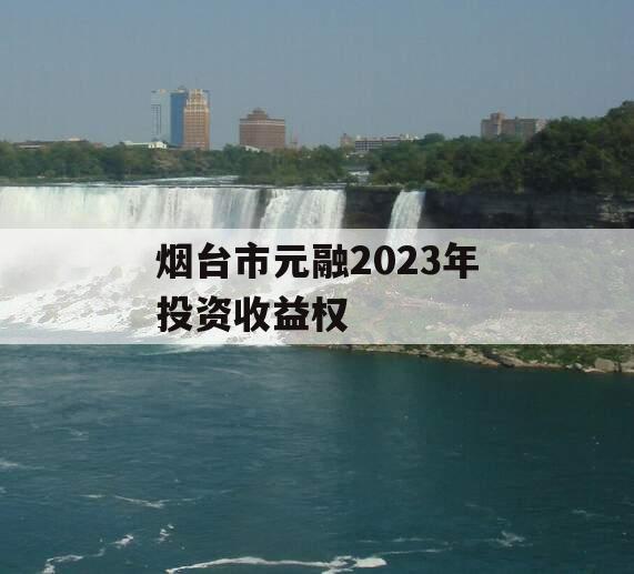 烟台市元融2023年投资收益权