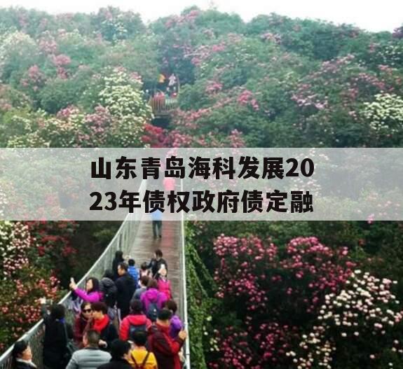 山东青岛海科发展2023年债权政府债定融