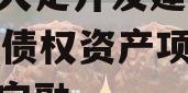重庆大足开发建设2023年债权资产项目政府债定融