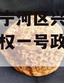 天津市宁河区兴宁建设投资债权一号政府债定融