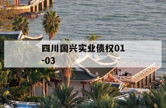 四川国兴实业债权01-03