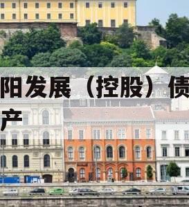 简阳发展（控股）债权资产