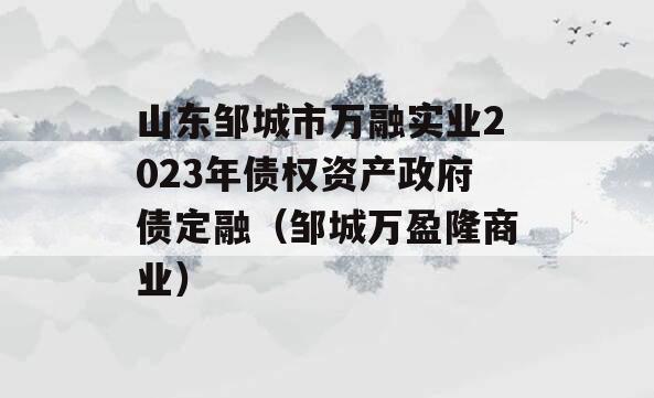 山东邹城市万融实业2023年债权资产政府债定融（邹城万盈隆商业）