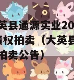 大英县通源实业2023债权拍卖（大英县土地拍卖公告）