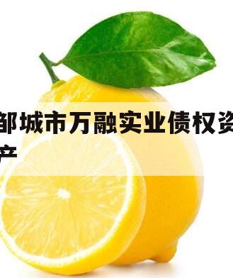 邹城市万融实业债权资产
