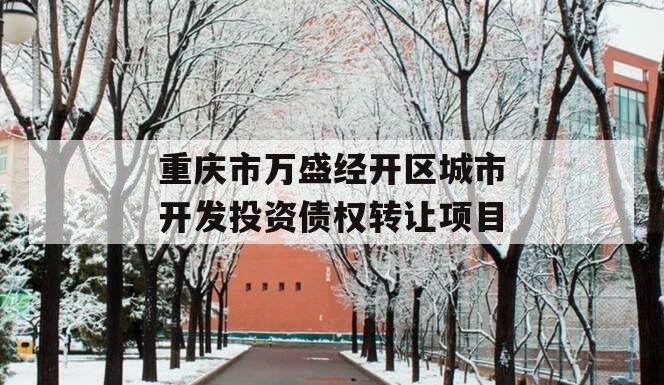 重庆市万盛经开区城市开发投资债权转让项目