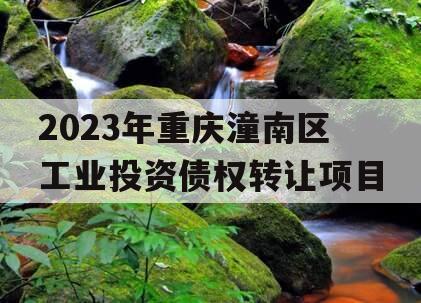 2023年重庆潼南区工业投资债权转让项目