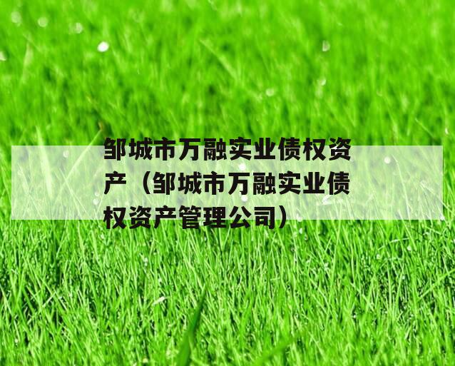 邹城市万融实业债权资产（邹城市万融实业债权资产管理公司）