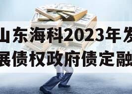 山东海科2023年发展债权政府债定融