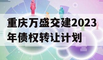 重庆万盛交建2023年债权转让计划