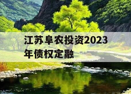 江苏阜农投资2023年债权定融