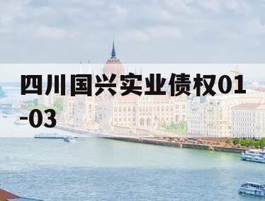 四川国兴实业债权01-03