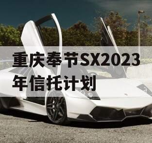 重庆奉节SX2023年信托计划