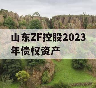 山东ZF控股2023年债权资产