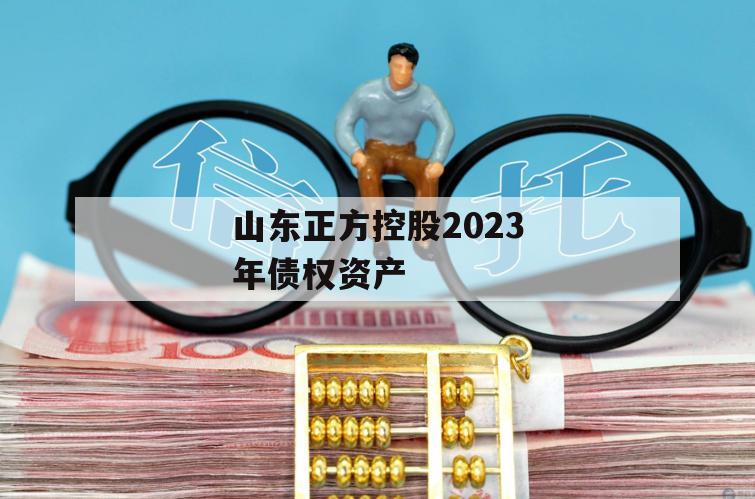 山东正方控股2023年债权资产