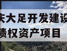 重庆大足开发建设2023债权资产项目