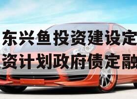 山东兴鱼投资建设定向融资计划政府债定融
