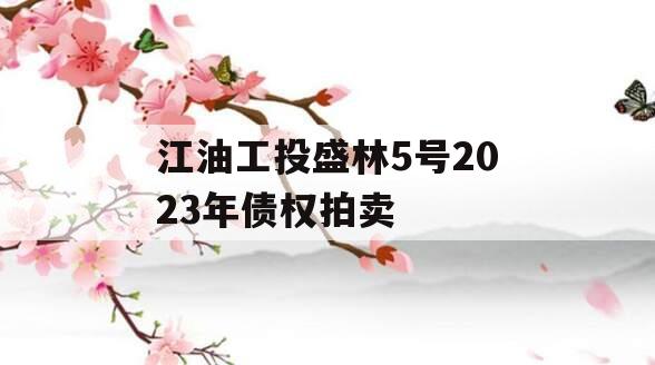 江油工投盛林5号2023年债权拍卖
