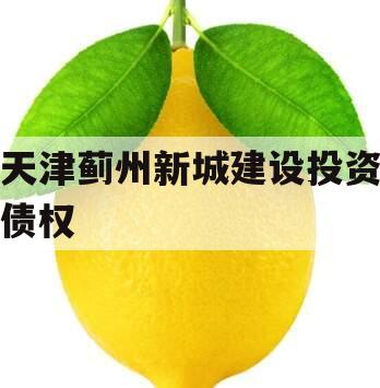 天津蓟州新城建设投资债权