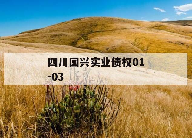 四川国兴实业债权01-03