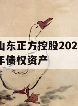 山东正方控股2023年债权资产