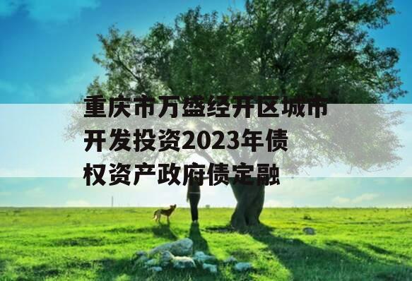 重庆市万盛经开区城市开发投资2023年债权资产政府债定融