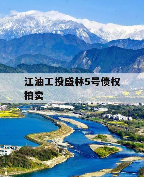 江油工投盛林5号债权拍卖