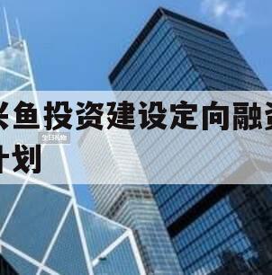 兴鱼投资建设定向融资计划