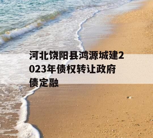 河北饶阳县鸿源城建2023年债权转让政府债定融