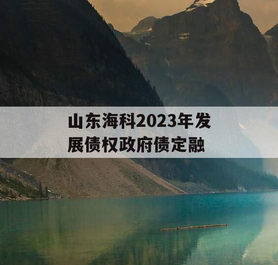 山东海科2023年发展债权政府债定融