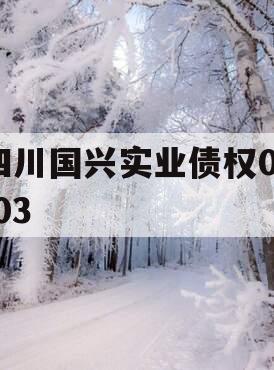 四川国兴实业债权01-03