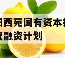 洛阳西苑国有资本投资债权融资计划