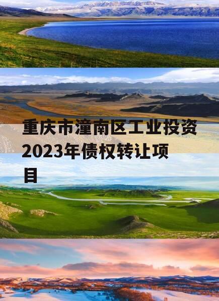 重庆市潼南区工业投资2023年债权转让项目