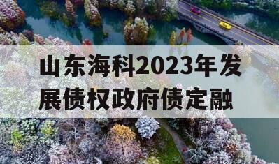 山东海科2023年发展债权政府债定融