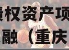 重庆DZKFJS2023年债权资产项目政府债定融（重庆市债券资金管理办法）