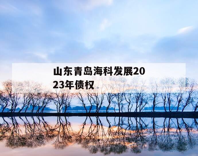 山东青岛海科发展2023年债权
