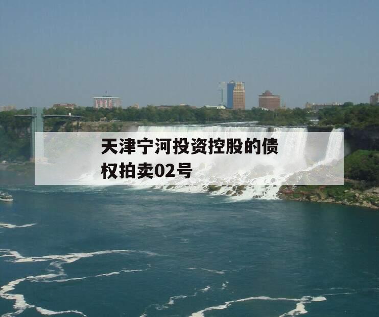天津宁河投资控股的债权拍卖02号