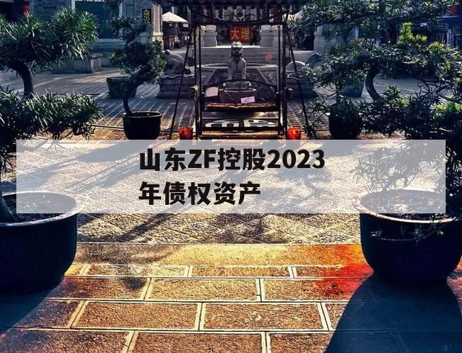 山东ZF控股2023年债权资产