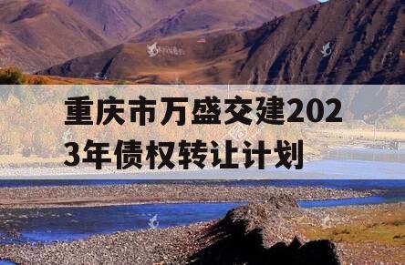 重庆市万盛交建2023年债权转让计划