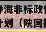 陕国投信托-038号天津静海非标政信集合信托计划（陕国投信托产品怎么样）