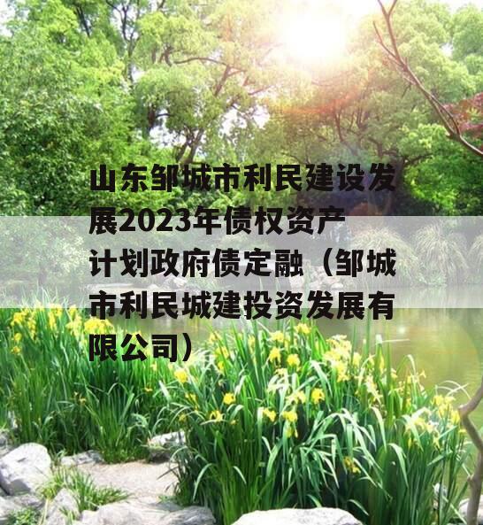 山东邹城市利民建设发展2023年债权资产计划政府债定融（邹城市利民城建投资发展有限公司）