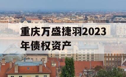 重庆万盛捷羽2023年债权资产
