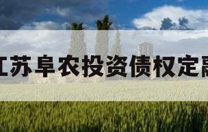 江苏阜农投资债权定融