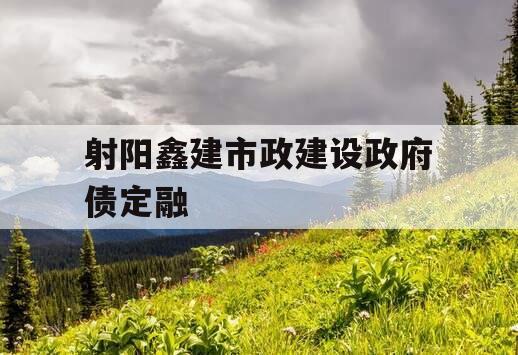 射阳鑫建市政建设政府债定融