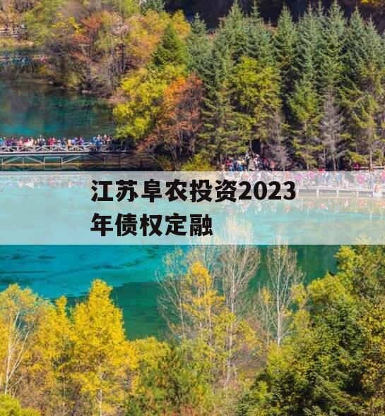 江苏阜农投资2023年债权定融