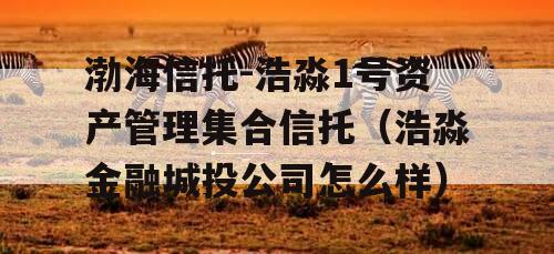 渤海信托-浩淼1号资产管理集合信托（浩淼金融城投公司怎么样）